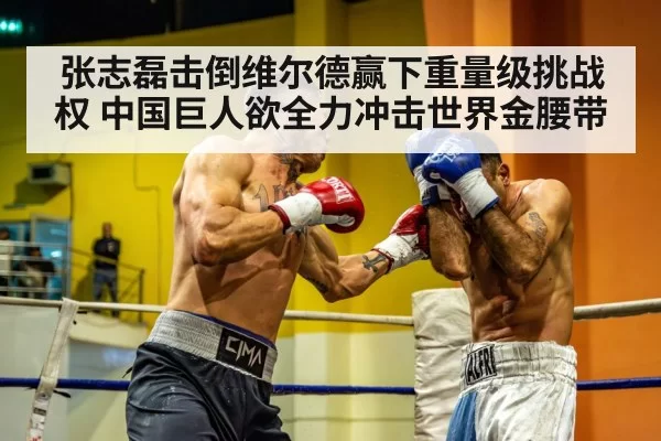 张志磊击倒维尔德赢下重量级挑战权 中国巨人欲全力冲击世界金腰带